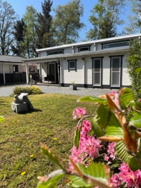 Mooie Vakantie woning met zwembad dichtbij wildlands